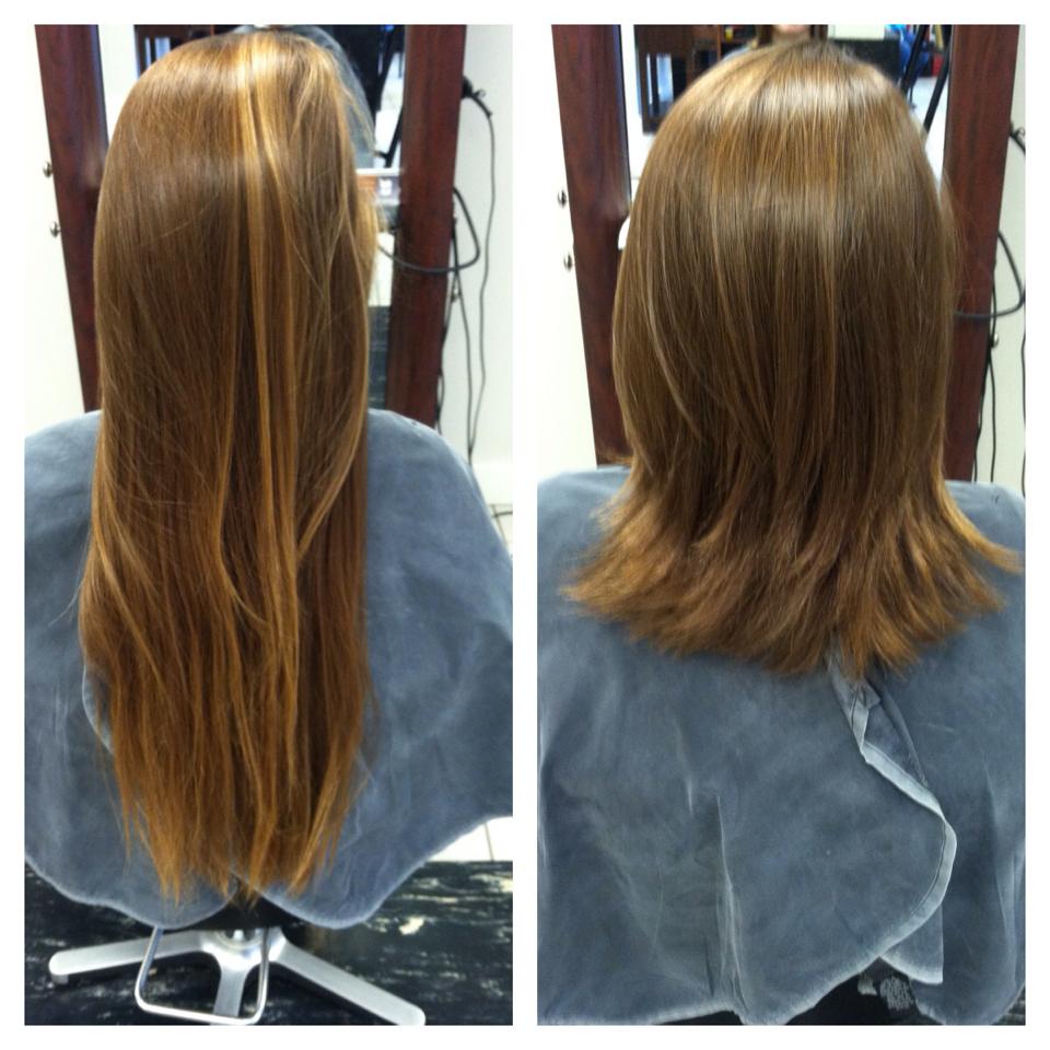 What Is The Difference Between a Cut & Trim North Andover MA | Nova Salon  Spa Blog